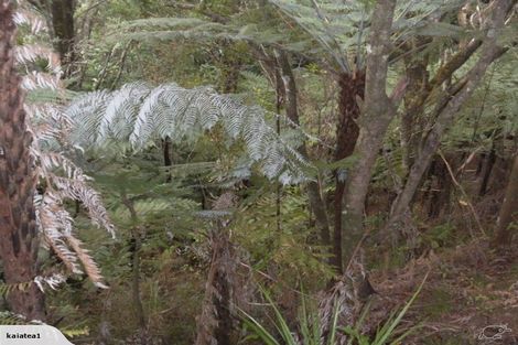 Photo of property in 82 Kaiatea Road, Ngunguru, Whangarei, 0173