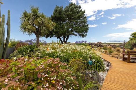 Photo of property in 196 Rarangi Beach Road, Rarangi, Blenheim, 7273