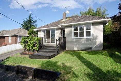 Photo of property in 17 Sheridan Drive, New Lynn, Auckland, 0600