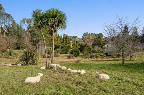 Photo of property in 84 Tebbutt Road, Lower Kaimai, Tauranga, 3171