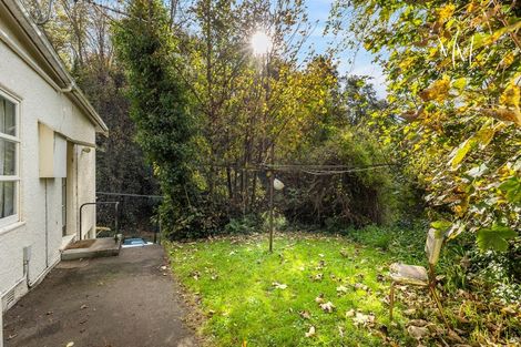 Photo of property in 47 Serpentine Avenue, Dunedin Central, Dunedin, 9016