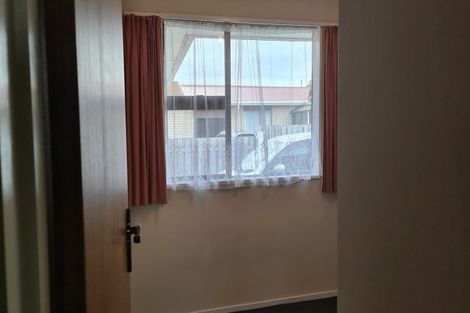 Photo of property in 217e Ruahine Street, Roslyn, Palmerston North, 4414