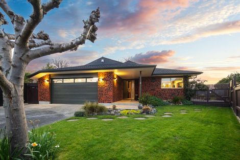 Photo of property in 12 Caulfield Place, Awapuni, Palmerston North, 4412