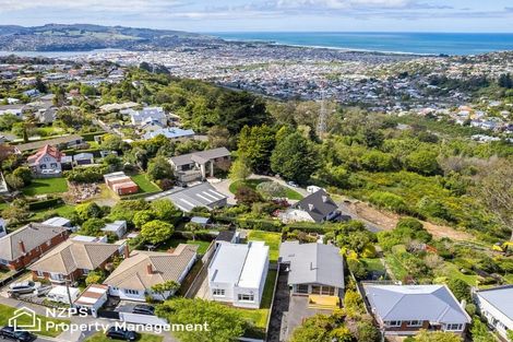 Photo of property in 111 Mornington Road, Kenmure, Dunedin, 9011
