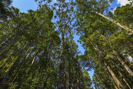 Photo of property in 131 Upper Harbour Drive, Greenhithe, Auckland, 0632