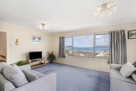 Photo of property in 13 Hibiscus Grove, Maungaraki, Lower Hutt, 5010