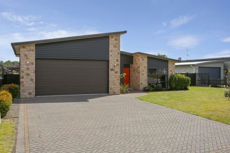 Photo of property in 122 Parekaawa Drive, Motuoapa, Turangi, 3382