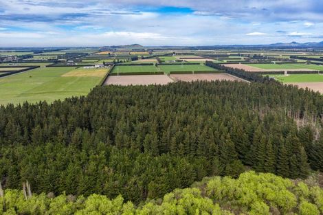 Photo of property in 136 Burnt Hill Road, Burnt Hill, Oxford, 7495