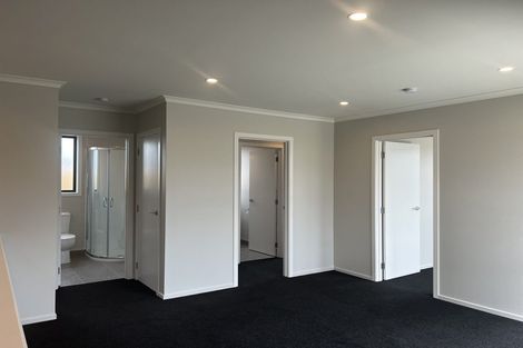 Photo of property in 29 Pragma Rise, Rototuna North, Hamilton, 3210