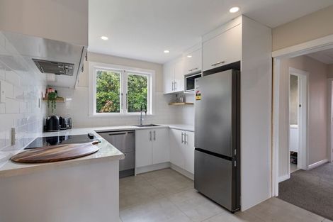 Photo of property in 17 Salisbury Avenue, Terrace End, Palmerston North, 4410