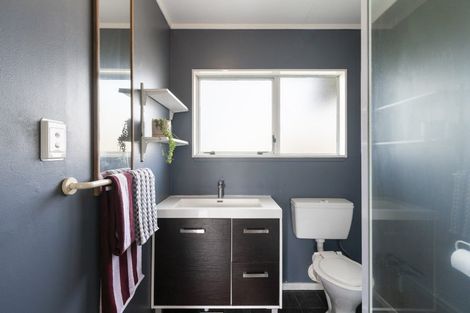 Photo of property in 115 Sherwill Street, Feilding, 4702