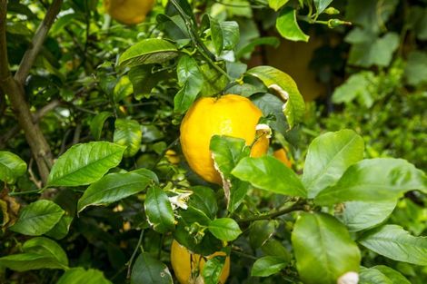 Photo of property in 37 Kashmir Avenue, Clouston Park, Upper Hutt, 5018