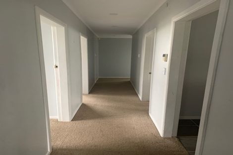 Photo of property in 60 Webster Avenue, Mount Roskill, Auckland, 1041