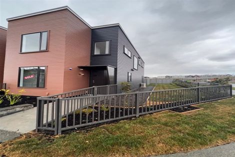 Photo of property in 19 Harewood Street, Whenuapai, Auckland, 0618