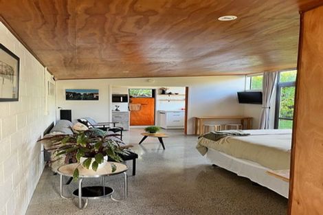 Photo of property in 19 Old Mill Road, Grey Lynn, Auckland, 1021