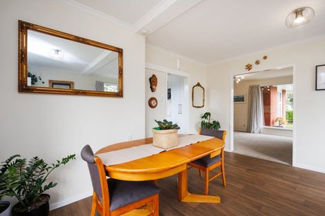 Photo of property in 393 Ruahine Street, Terrace End, Palmerston North, 4410