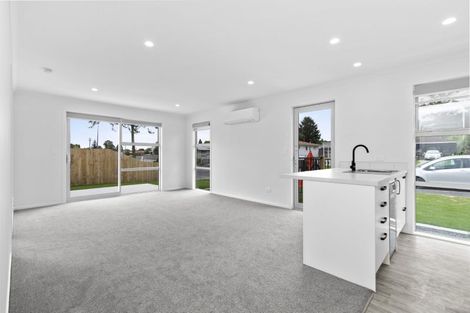 Photo of property in 1/45 Tranmere Road, Fairfield, Hamilton, 3214
