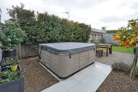 Photo of property in 124 Nixon Street, Hamilton East, Hamilton, 3216