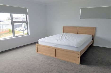 Photo of property in 105 John Burke Drive, Aotea, Porirua, 5024