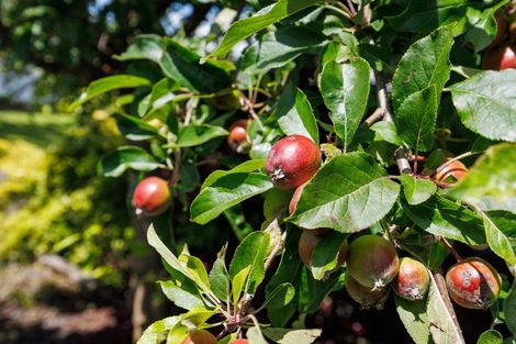 Photo of property in 9 Maunder Street, Marton, 4710