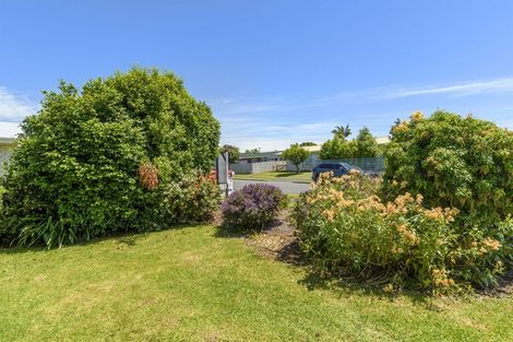 Photo of property in 56 Ridge Street, Otumoetai, Tauranga, 3110