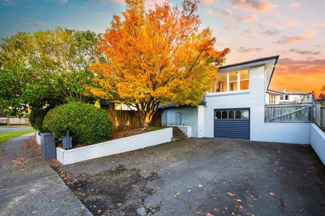 Photo of property in 46 Churchill Avenue, Hokowhitu, Palmerston North, 4410