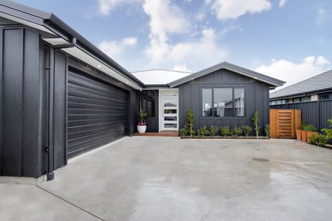 Photo of property in 60 Lochhead Street, Mahora, Hastings, 4120