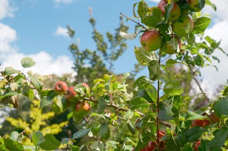 Photo of property in 172 Dalbeth Road, Hamurana, Rotorua, 3072