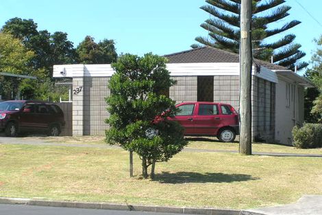 Photo of property in 237 Forrest Hill Road, Forrest Hill, Auckland, 0620