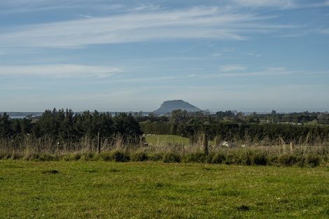 Photo of property in 198b Snodgrass Road, Te Puna, Whakamarama, 3174