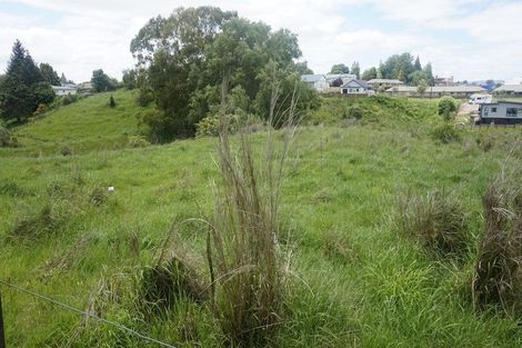 Photo of property in 22 Bent Street, Putaruru, 3411