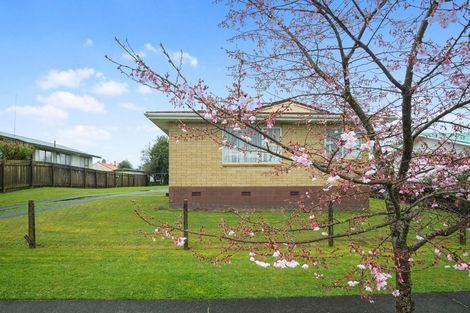 Photo of property in 24a-b Barnett Street, Putaruru, 3411