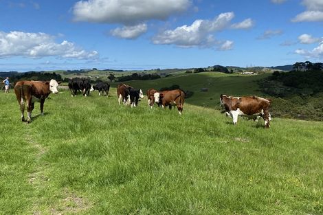 Photo of property in 567 Wharehine Road, Wharehine, Wellsford, 0973