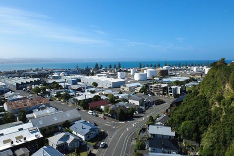Photo of property in 156 Battery Road, Hospital Hill, Napier, 4110