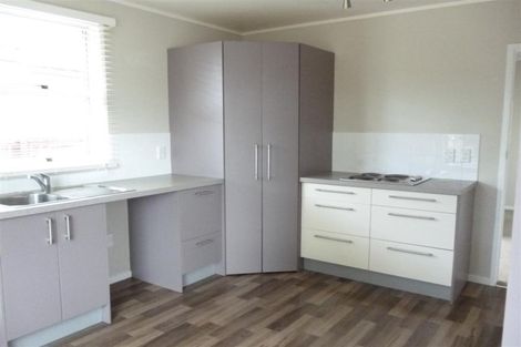 Photo of property in 119 Riverpark Crescent, Henderson, Auckland, 0610