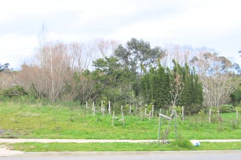 Photo of property in 100 Cyril French Drive, Flat Bush, Auckland, 2016
