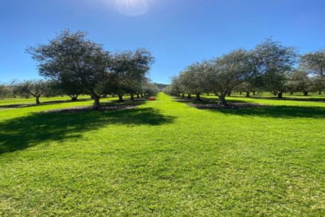 Photo of property in 478 Hihi Road, Hihi, Mangonui, 0494