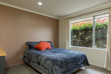 Photo of property in 17 Kendon Street, Witherlea, Blenheim, 7201