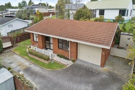 Photo of property in 129b Maungatapu Road, Maungatapu, Tauranga, 3112