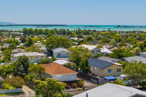 Photo of property in 38 Marlborough Crescent, Richmond, 7020