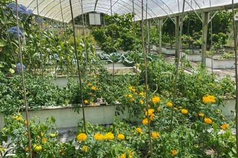 Photo of property in 561 Whangaripo Valley Road, Whangaripo, Wellsford, 0972