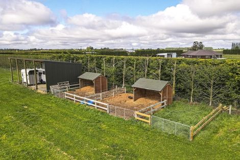 Photo of property in 366 Ashburton Staveley Road, Greenstreet, Ashburton, 7771