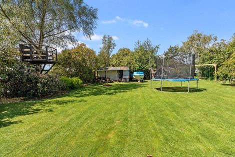 Photo of property in 5 Exeter Street, Waimate, 7924