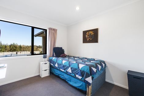 Photo of property in 48 Ihimaera Terrace, Leamington, Cambridge, 3432