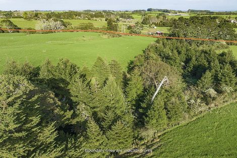 Photo of property in 290 Ostrich Road, Patumahoe, Pukekohe, 2679