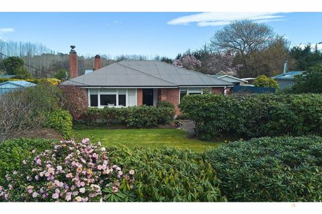 Photo of property in 57 Main North Road, Geraldine, 7930