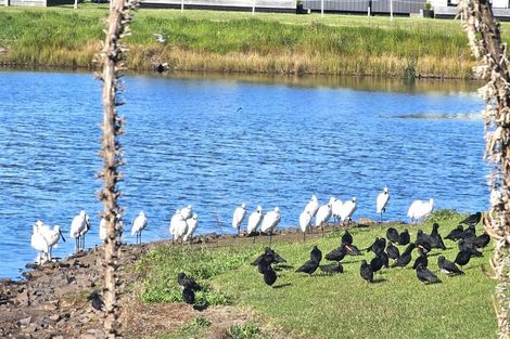 Photo of property in 107 Harbour Drive, Matarangi, Whitianga, 3592