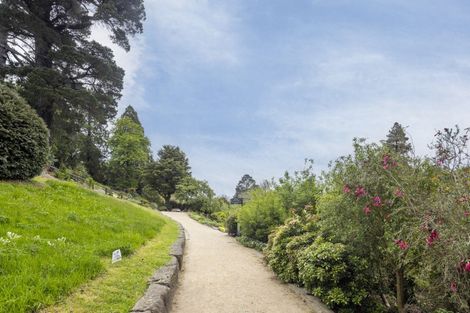 Photo of property in 39 Opoho Road, North East Valley, Dunedin, 9010