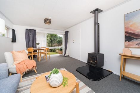 Photo of property in 22 Erin Street, Hokowhitu, Palmerston North, 4410
