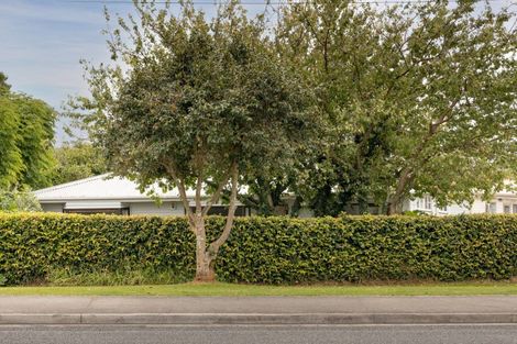 Photo of property in 22a Cook Street, Gate Pa, Tauranga, 3112